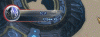 тест1.gif