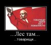 77b97dc1c8ecff4c6ff6fabc2a54fb37.jpeg