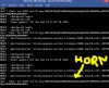 horn2.jpg