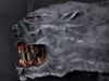 Beast