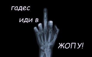 ДолбоГад