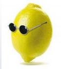 aleks24178
