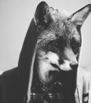 Dester