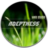 adeptness