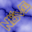 (NevO)
